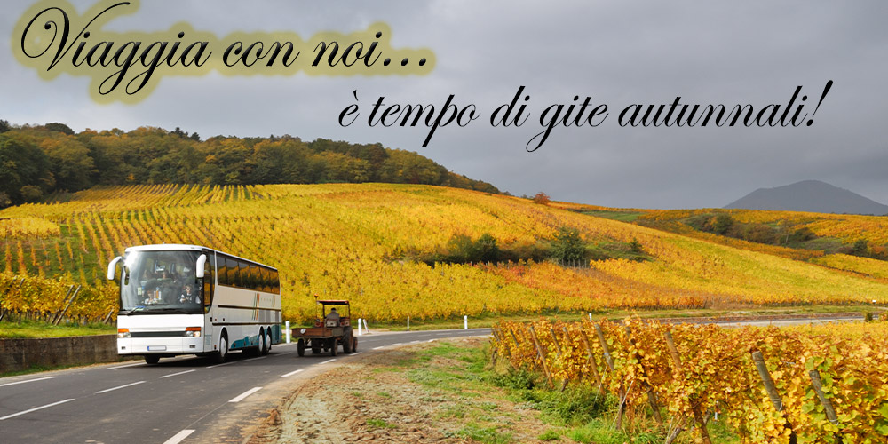 Viaggia con noi… è tempo di gite autunnali!