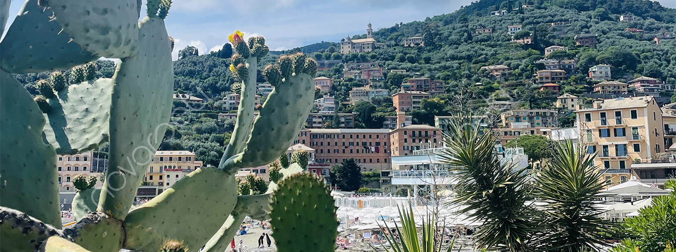 Festa della focaccia di Recco