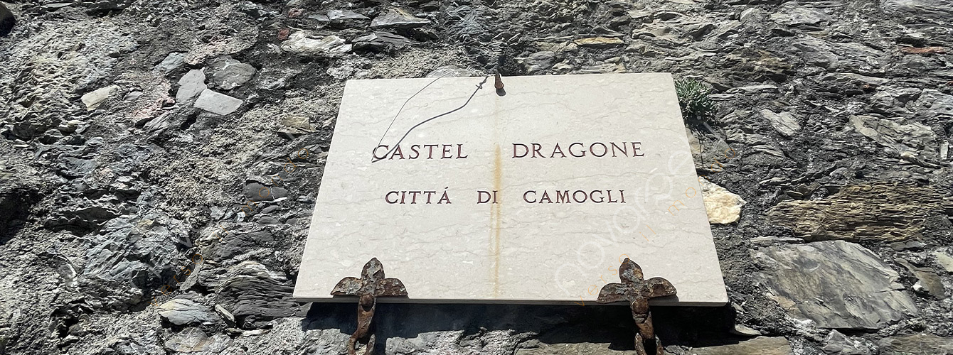 Camogli sagra del pesce
