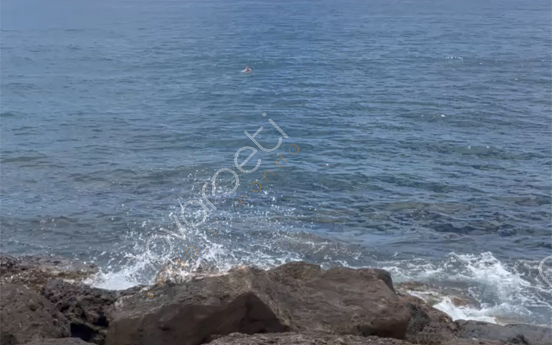 Varazze: