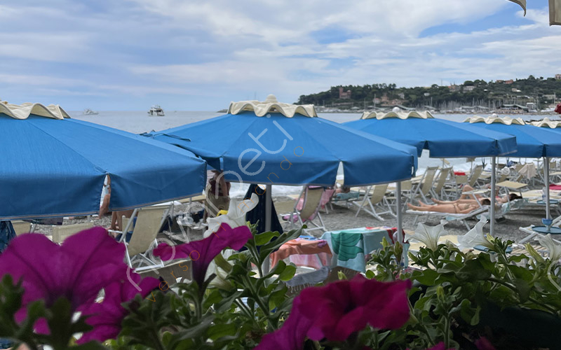 Varazze: