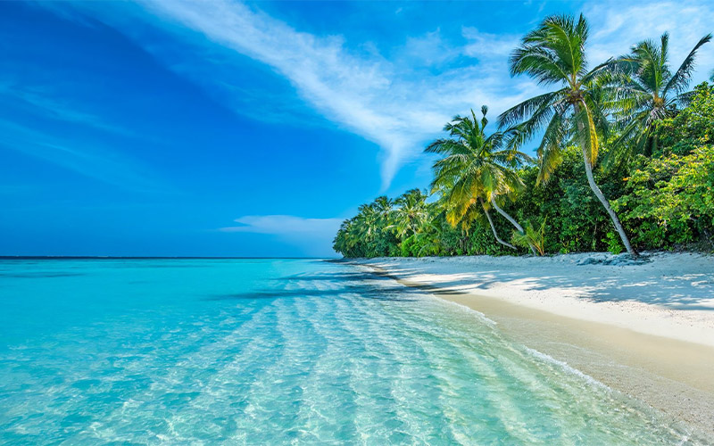 Maldive