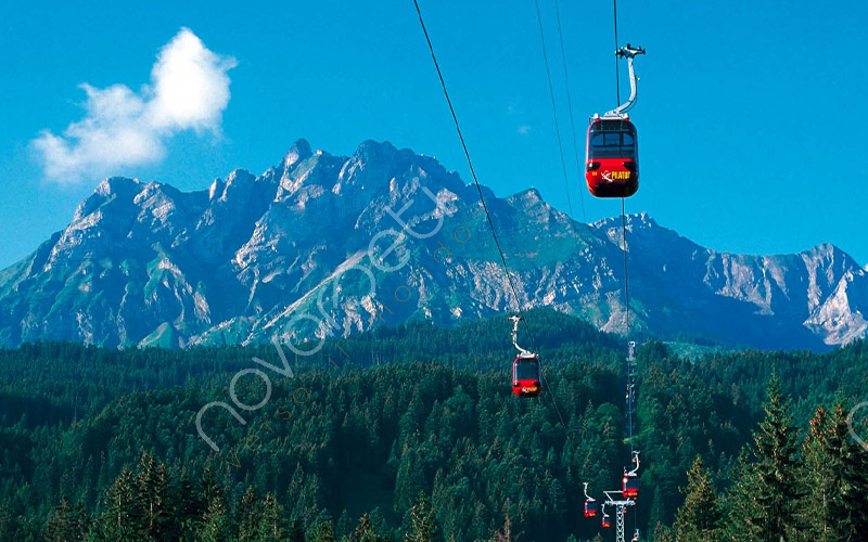 Monte