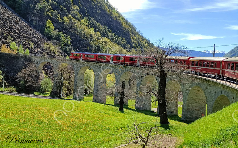 Treno