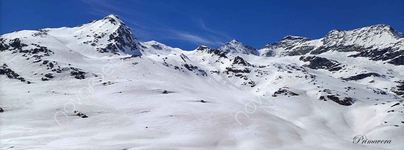 Treno del Bernina - Gita in giornata