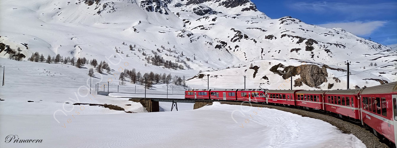 Treno del Bernina - Gita in giornata
