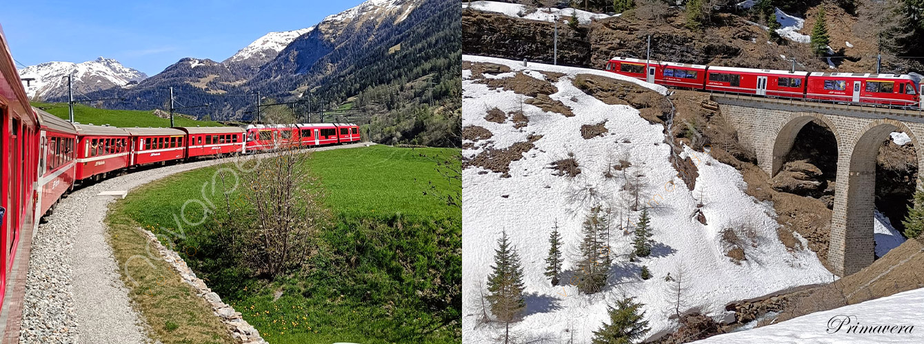 Treno del Bernina - Gita in giornata