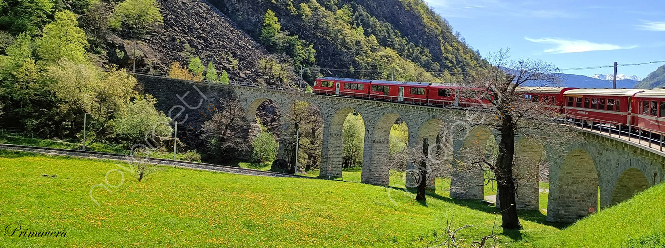 Treno del Bernina - Gita in giornata