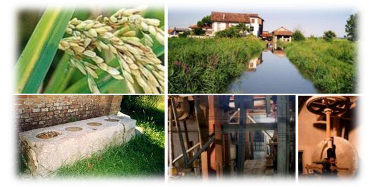 Vercelli e le Terre d'Acqua